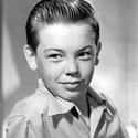 Bobby Driscoll on Random Child Actors Who Tragically Died Young