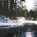 Bois Brule River on Random Best American Rivers for Canoeing