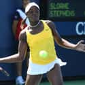 Sloane Stephens is listed (or ranked) 44 on the list The Greatest Female Tennis Players of the Open Era