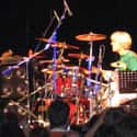 Stewart Copeland on Random Best Musical Artists From Virginia