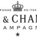 Moët & Chandon on Random Best Wineries in France