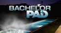 Bachelor Pad on Random Best TV Shows If You Love 'Love Island'