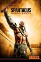 Spartacus: Gods of the Arena on Random Best Action Drama Series