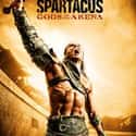 Spartacus: Gods of the Arena on Random Movies If You Love 'Tudors'
