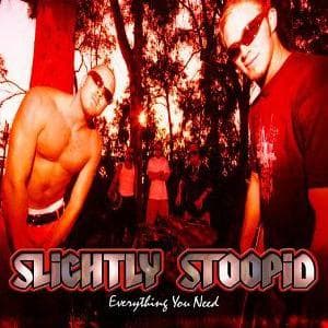 The Best Slightly Stoopid Albums, Ranked By Fans