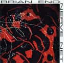 Nerve Net on Random Best Brian Eno Albums