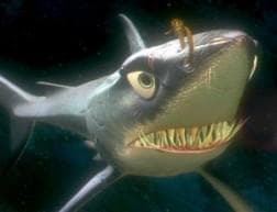 Finding Nemo Names In Ky