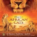 African Cats on Random Best Disney Movies Starring Cats