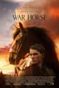 War Horse on Random Best War Movies Streaming On Netflix