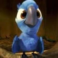 25+ Most Famous Cartoon Bird Characters Ever