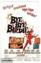 Bye Bye Birdie on Random Best Comedy Movies of 1960s