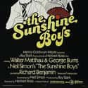 George Burns, Phyllis Diller, Walter Matthau   The Sunshine Boys is a 1975 American comedy film directed by Herbert Ross and produced by Ray Stark, released by Metro-Goldwyn-Mayer and based on the play of the same name by Neil Simon, about...