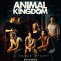 Animal Kingdom on Random Best Foreign Thriller Movies