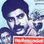 Aalkkoottathil Thaniye is listed (or ranked) 48 on the list List of All Movies Released in 1984