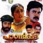 Pandippada is listed (or ranked) 4 on the list The Best Navya Nair Movies