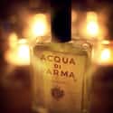 Acqua di Parma on Random Best Perfumers and Fragrance Makers