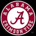 Alabama Crimson Tide on Random Best Sports Franchises