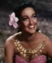Dorothy Lamour on Random Famous People Buried at Forest Lawn Memorial Park