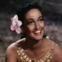 Dorothy Lamour on Random Famous People Buried at Forest Lawn Memorial Park