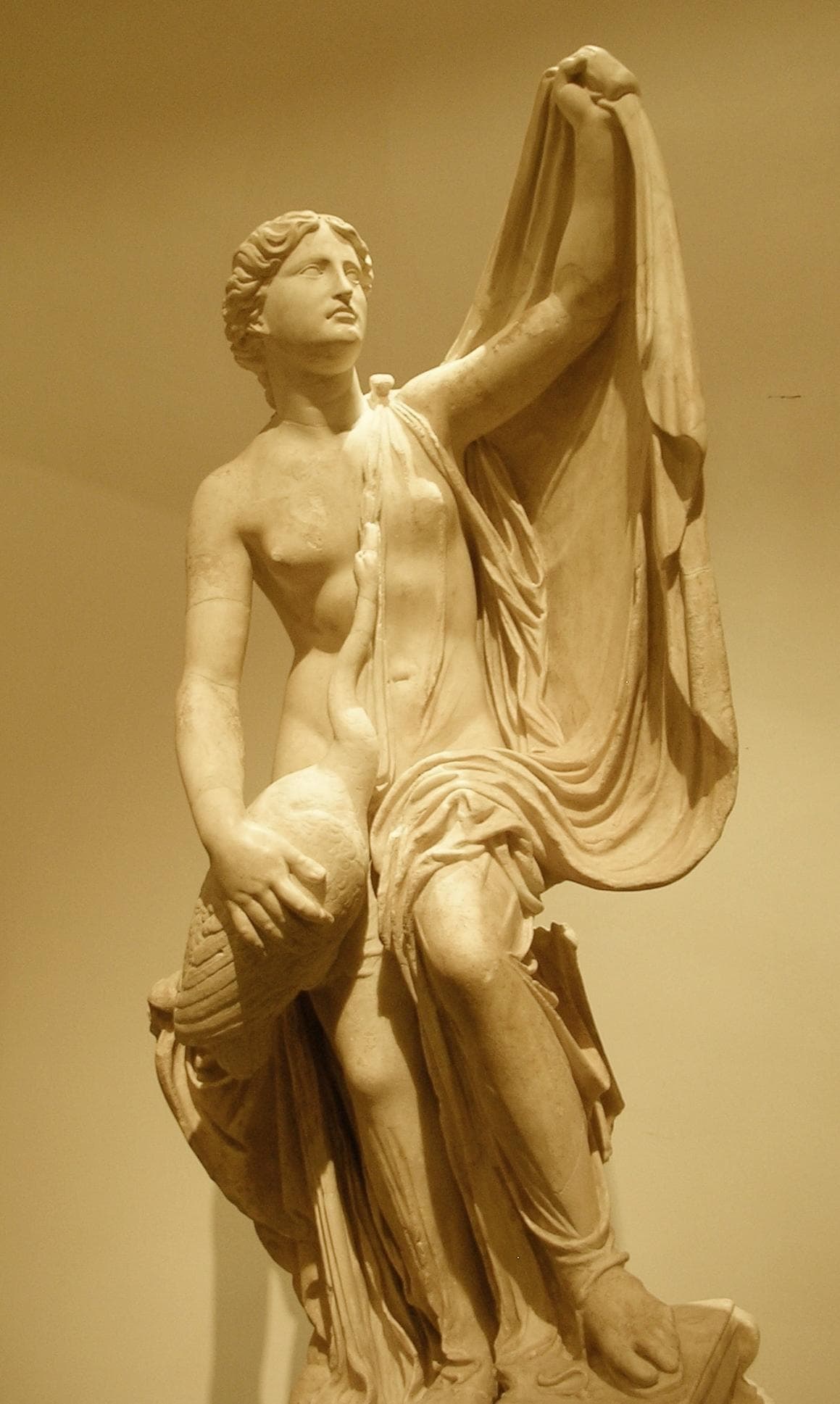 Famous Leda and the Swan Art List Popular Artwork & Paintings About