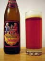Bock on Random Best German Beers