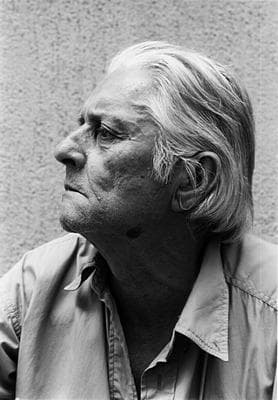 Famous Op Art Artists List of All Op Art Painters and Sculptors