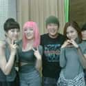 Miss A is listed (or ranked) 6 on the list List Of All Disbanded K-pop Groups, Ranked