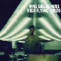 Noel Gallagher's High Flying Birds on Random Best Music Side Projects