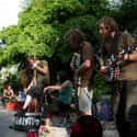 Anarcho-punk, Gypsy punk, Acoustic music   Blackbird Raum is a folk punk band from Santa Cruz, California, formed in 2004.