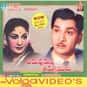 Chaduvukunna Ammayilu is listed (or ranked) 23 on the list The Best B. Padmanabham Movies