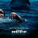 The Reef on Random Scariest Ship Horror Movies Set on Sea