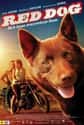 Red Dog on Random Best Movies Set in Australia
