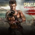 Spartacus: Vengeance on Random Movies If You Love 'Tudors'