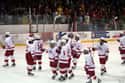 Cornell Big Red men's ice hockey on Random Best Sports Franchises