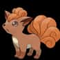 Vulpix is listed (or ranked) 37 on the list Complete List of All Pokemon Characters