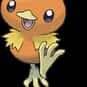 Torchic is listed (or ranked) 255 on the list Complete List of All Pokemon Characters