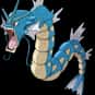 Gyarados is listed (or ranked) 130 on the list Complete List of All Pokemon Characters