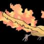 Moltres is listed (or ranked) 146 on the list Complete List of All Pokemon Characters