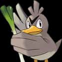 Farfetch'd on Random Common Pokemon Name Meanings from Generation 1