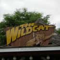 Wildcat on Random Best Rides at Hersheypark