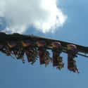 Great Bear on Random Best Roller Coasters in the World