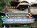 The Enchanted Tiki Room on Random Best Rides at Magic Kingdom