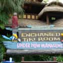The Enchanted Tiki Room on Random Best Rides at Magic Kingdom