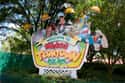 Mickey's Toontown Fair on Random Best Rides at Magic Kingdom