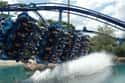 Manta on Random Best Rides at SeaWorld Orlando