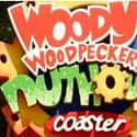 Woody Woodpecker's Nuthouse Coaster on Random Best Rides at Universal Studios Florida