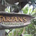Tarzan's Treehouse on Random Best Rides at Disneyland