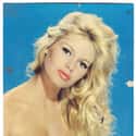 Brigitte Bardot on Random Celebrities Who Never Had Plastic Surgery