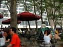 Bryant Park on Random Top Must-See Attractions in New York