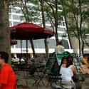 Bryant Park on Random Top Must-See Attractions in New York